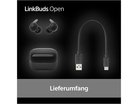 Sony LinkBuds Open