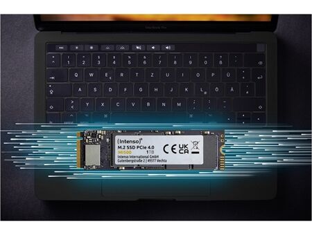 Intenso MI500 M.2 (1TB)