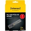 Intenso MI500 M.2 (1TB)