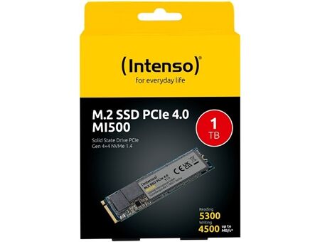 Intenso MI500 M.2 (1TB)