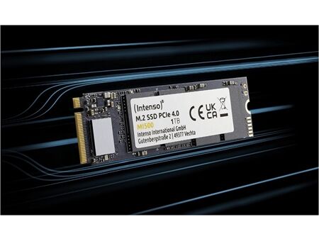 Intenso MI500 M.2 (1TB)