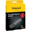 Intenso MI500 M.2 (1TB)