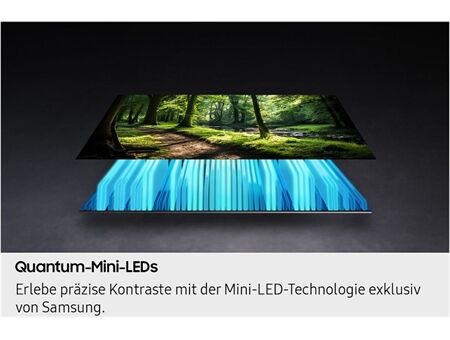 Samsung GQ65QN73FAT Xklusiv