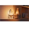 hue White E27 1100 2er Pack