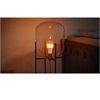 hue White & Col. Amb. E27 1100