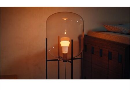 hue White & Col. Amb. E27 1100