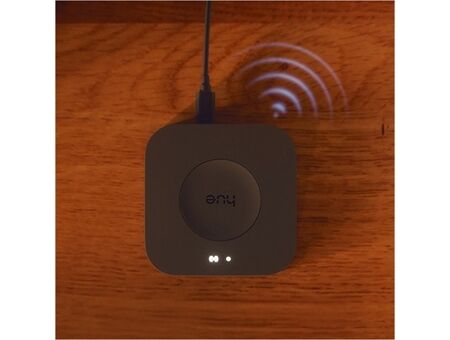 hue Bridge Pro
