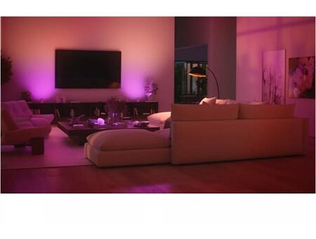 hue Bridge Pro