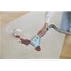 Shark PX250EUT StainStriker HairPro Pet