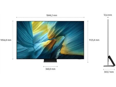 Samsung GQ83S95FAE