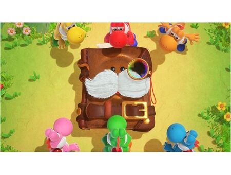 Nintendo SW2 Yoshi and the Mysterious Book