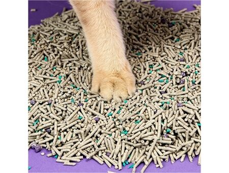PETKIT 5-in1 Mixed Katzenstreu 4er Pack