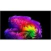 LG OLED83G68LW abzgl. 400€ Cashback