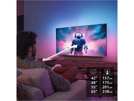 Philips 55OLED810/12