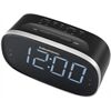 Grundig Sonoclock 3100