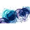 Philips Evnia 27M2N3800A/00