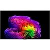 LG OLED55G68LW