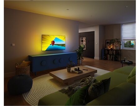 Philips 65PUS8079/12