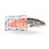 CASO Folienbeutel 20x30 - 50Stk.