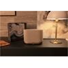 Denon Home 400