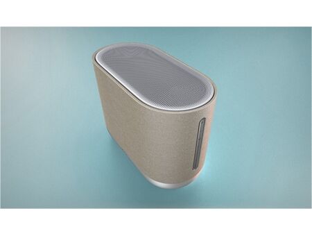 Denon Home 400
