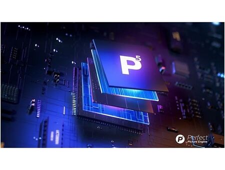 Philips 65PQS8631/12