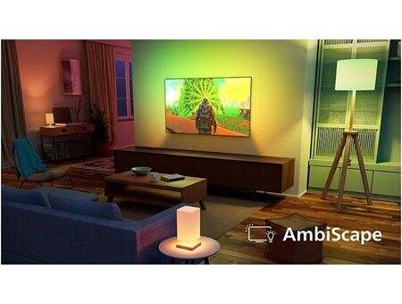 Philips 55OLED801/12