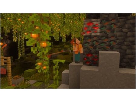 Nintendo SW2 Minecraft