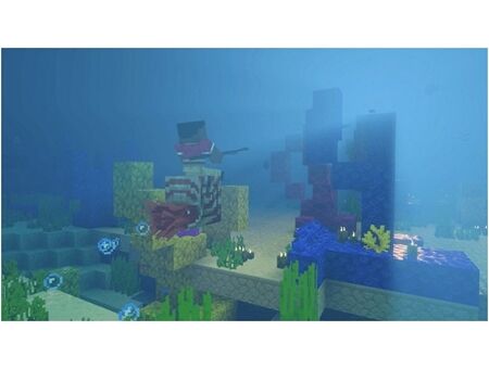 Nintendo SW2 Minecraft