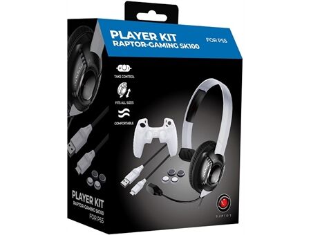 Raptor-Gaming RG SK100