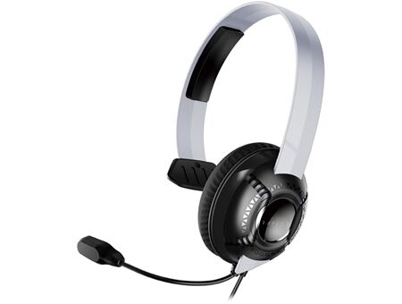 Raptor-Gaming RG SK100