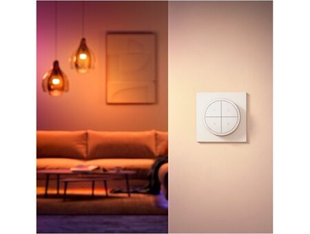 hue Tap Dial Schalter
