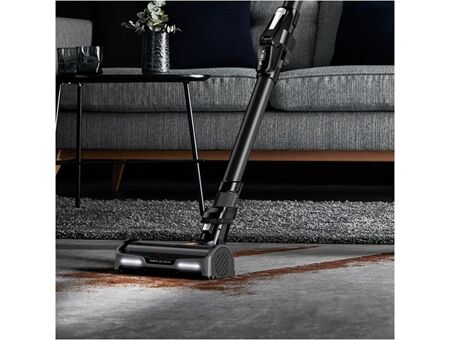 Rowenta RH99F1 X-Force Flex 15.60 Animal