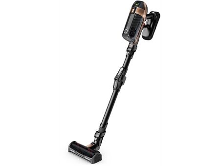 Rowenta RH99F1 X-Force Flex 15.60 Animal