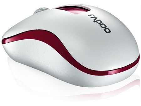 rapoo Kabellose optische Maus "M10 Plus"