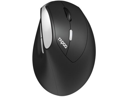 rapoo EV250