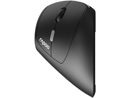 rapoo EV250