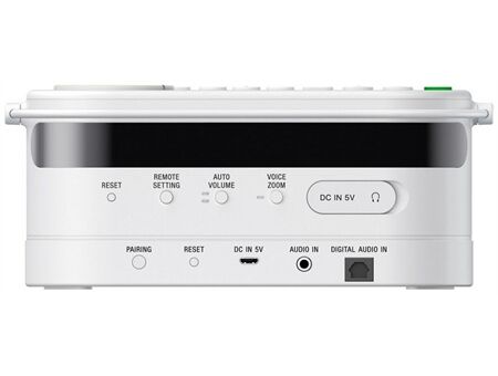 Sony SRS-LSR100